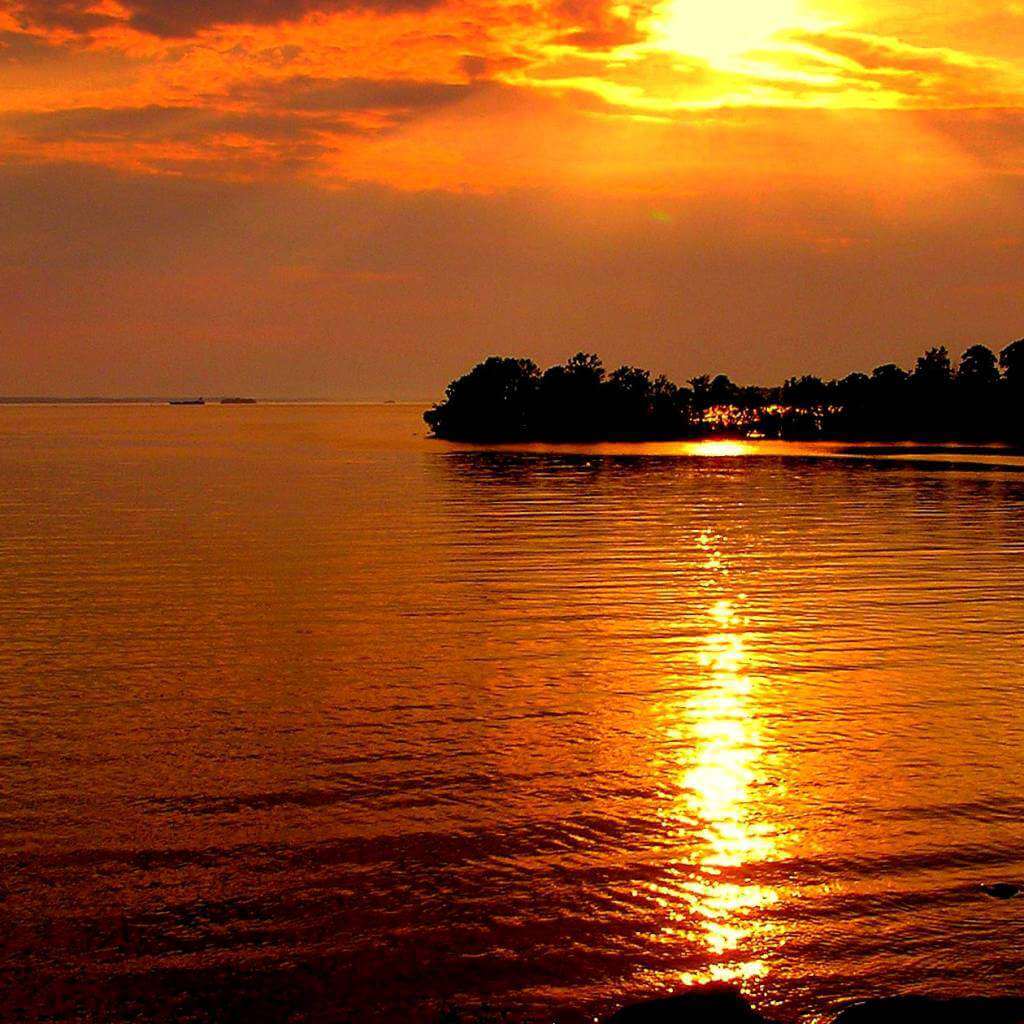 nature 2 aspect ratio 800 594